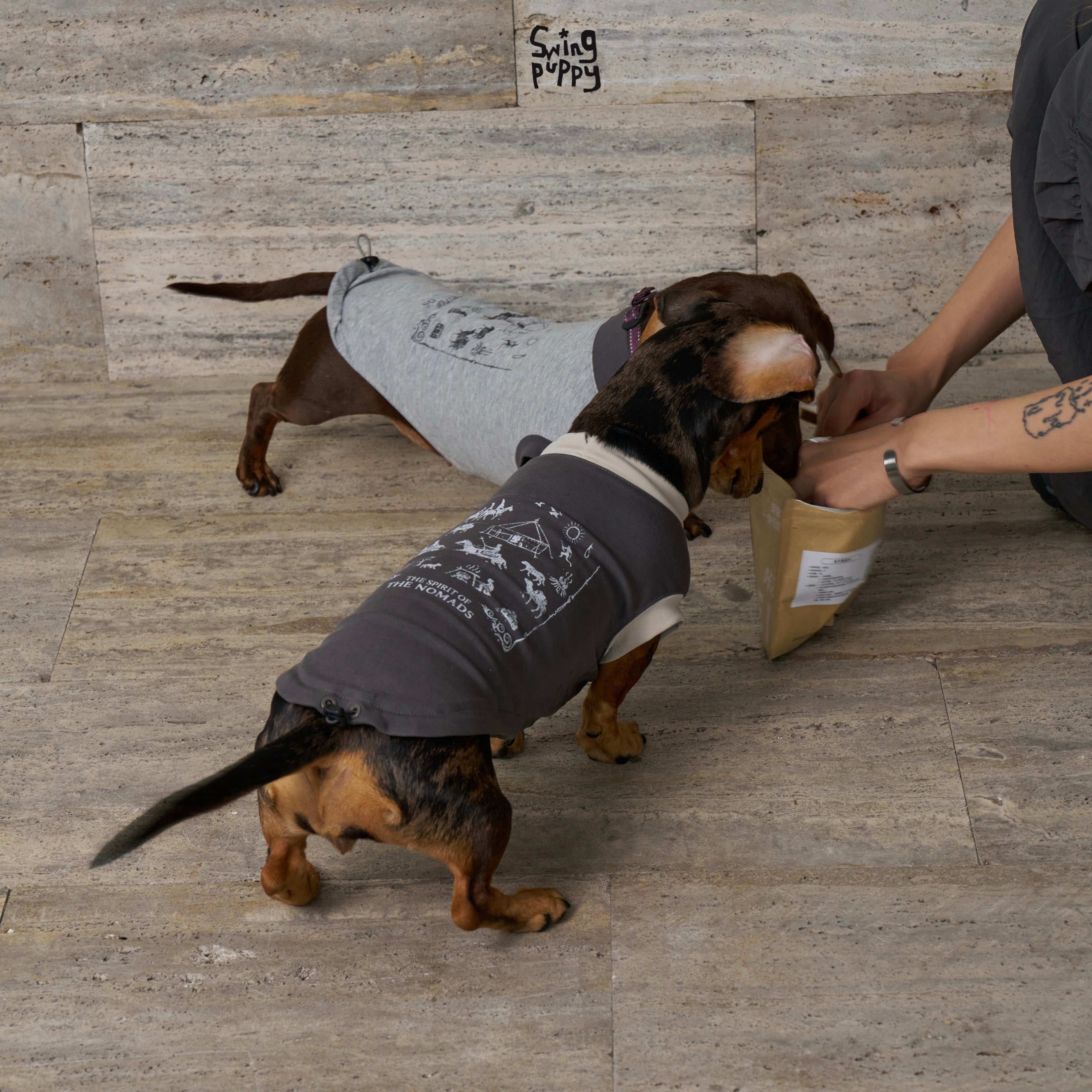 Nomadic Print Matching T-Shirt – Human & Pet