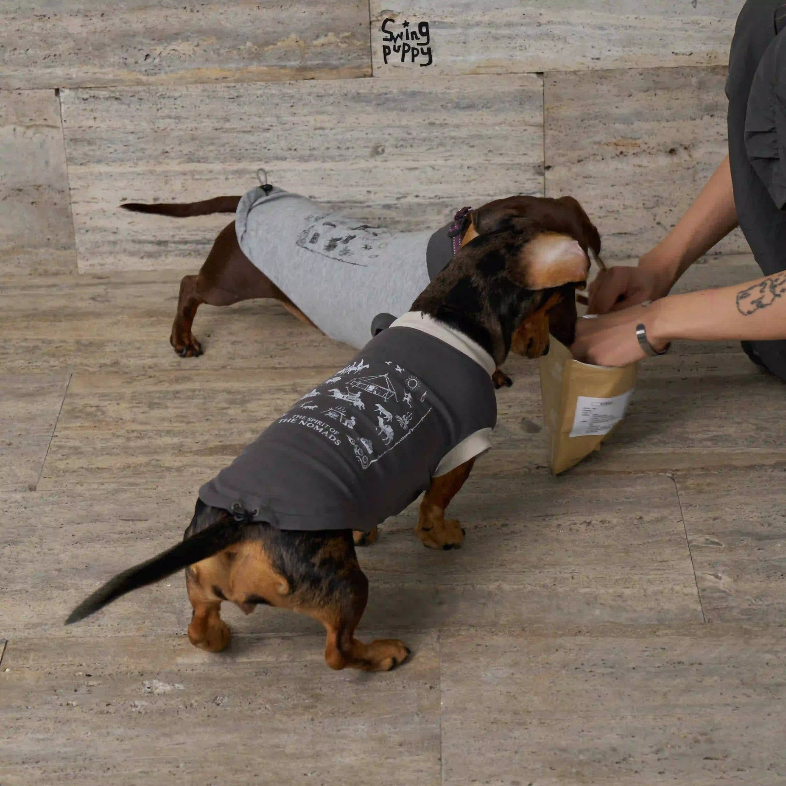 Nomadic Print Matching T-Shirt – Human & Pet