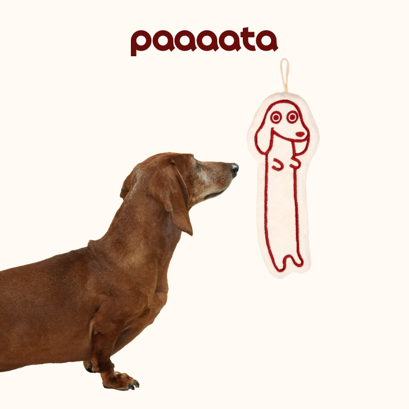 Dachshund Hand Towel – Super Soft Coral Fleece