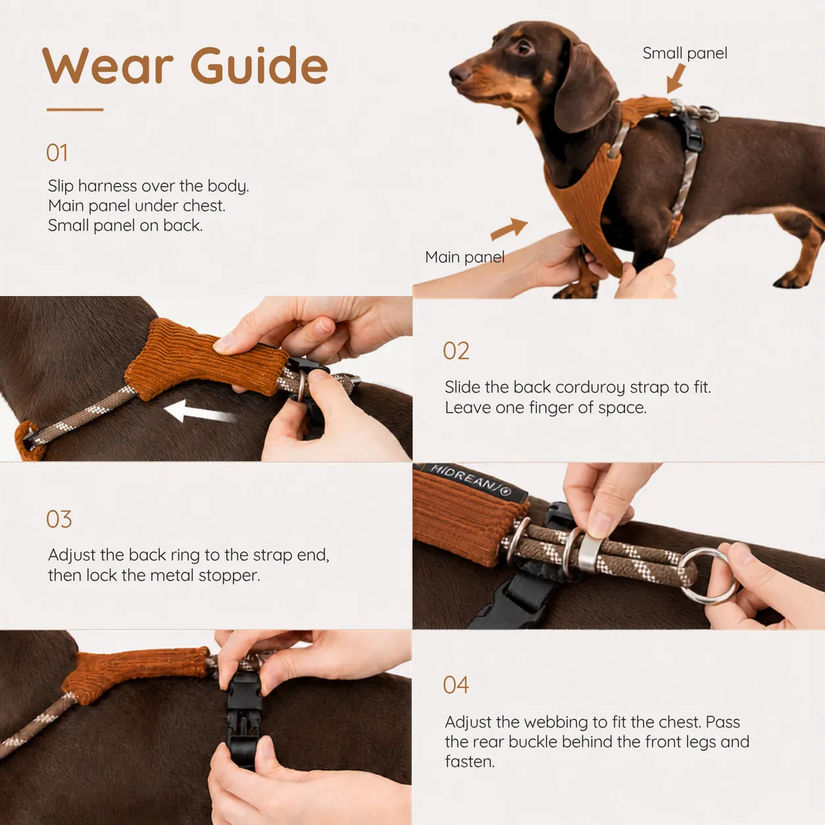 Soft corduroy dachshund harness and leash set with adjustable fit details