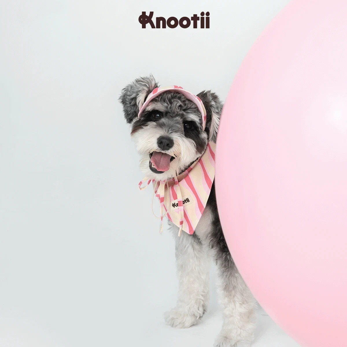 Matching Pet & Owner Bandana + Hair Bow Gift Set