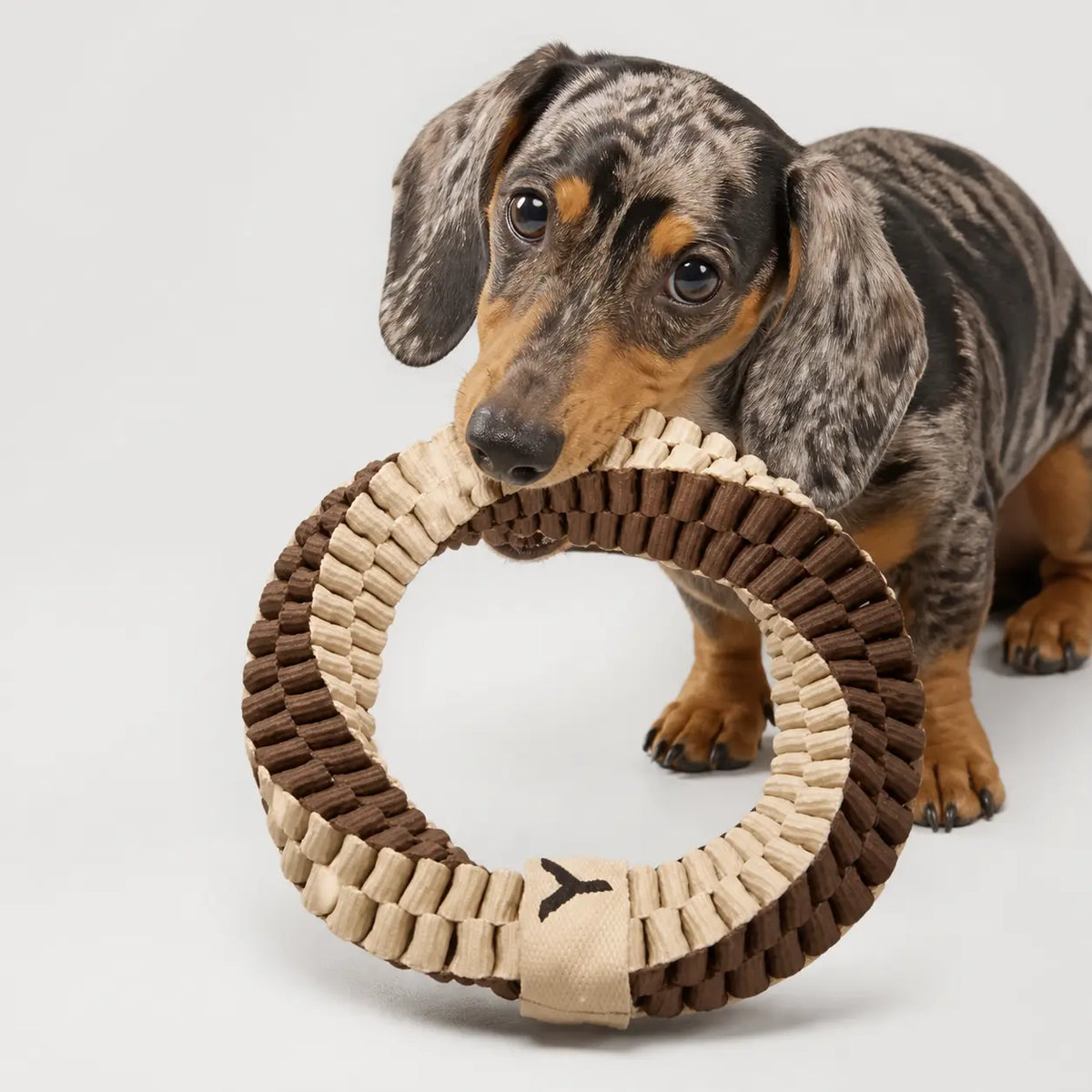 Antibacterial Rope Ring Dog Toy