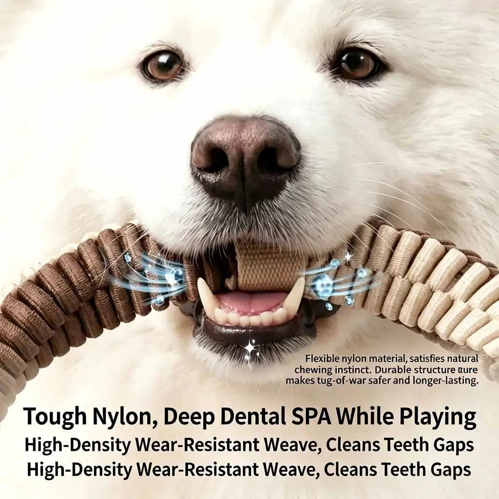 Antibacterial Rope Ring Dog Toy
