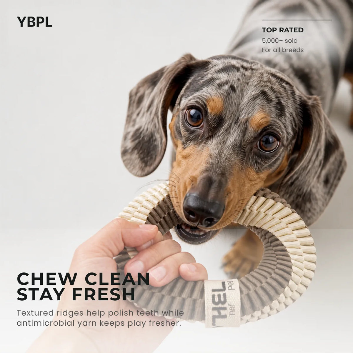 Antibacterial Rope Ring Dog Toy
