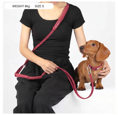 4in1 Multi-Function Ultra-Reflective Hands-Free Dog Leash