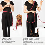 4in1 Multi-Function Ultra-Reflective Hands-Free Dog Leash