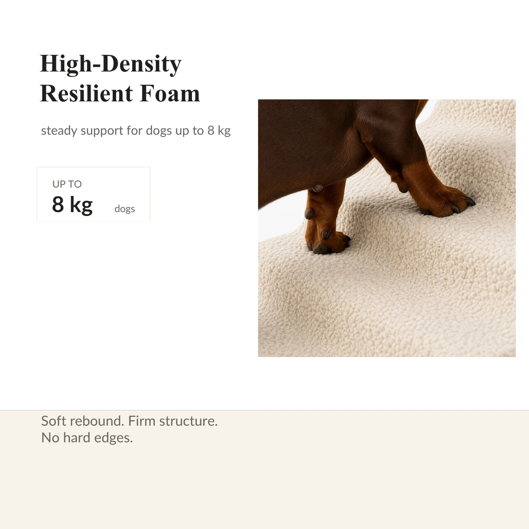 Waterproof Anti-Slip Dog Ramp for Small Dogs