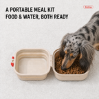 Lightweight Outdoor Folding Pet Bowl