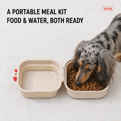 Lightweight Outdoor Folding Pet Bowl