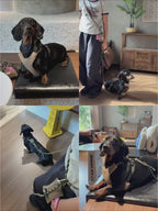 Soft Corduroy Dachshund Harness & 3-in-1 Leash Set