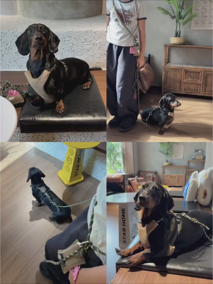 Soft Corduroy Dachshund Harness & 3-in-1 Leash Set