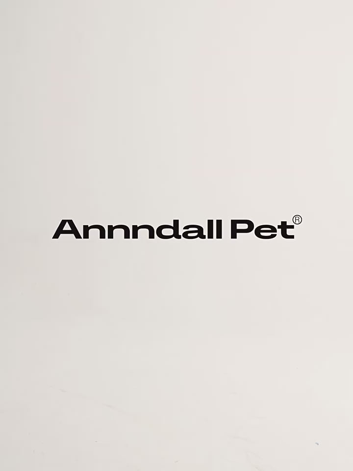 Matching Cool T-Shirt – Human & Pet