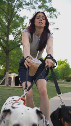 Hands-Free Multi-Function Dog Leash