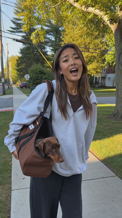 Dachshund Travel Carrier Bag