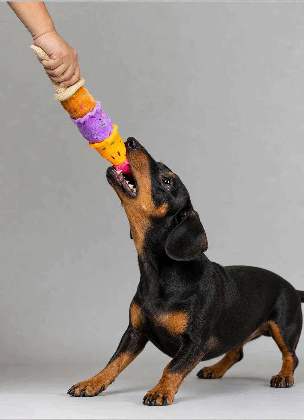 Colorful Ice Cream Plush Squeaky Dog Toy